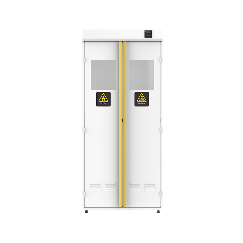 Wanshulin Laboratory All-Steel Gas Cylinder Cabinet