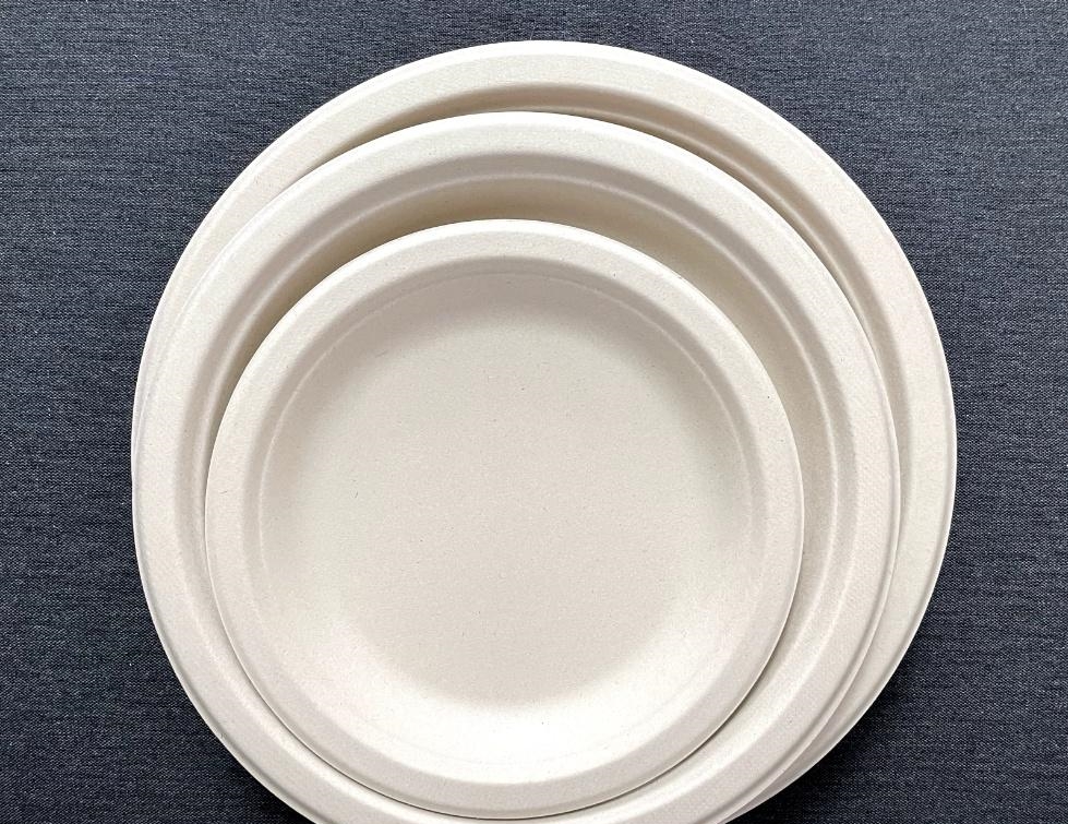 Biodegradable raw material disposable lunch boxes